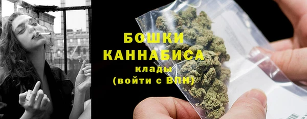 индика Балабаново
