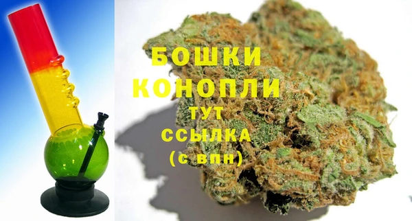 индика Балабаново